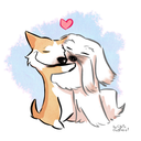 Corgi (and Lhasa) Love!