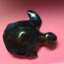 onexfinnedxturtle