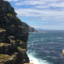 blog--me--to--neverland
