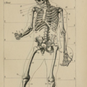 homieostasis - Homieostasis