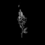 always--in--darkness