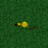 all-american-oncest:  i’ve found the one item on neopets that sums me up like nothing else can  