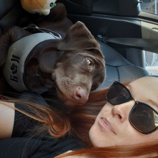 krisonmars:  I just want to be cuddling and kissing and holding hands and touching butts and getting tight hugs and being best friends with a lovely girl.