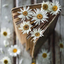 fadingdaisyflower