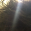 allisfullofnothing