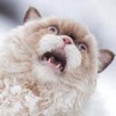 setheverman:  krawdad:Scrolling through posts be like where’s baldo  end