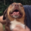 nomeansnodad