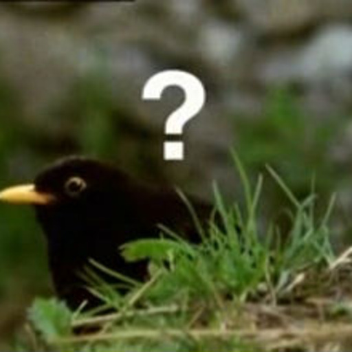 sherlock-ness-monster:  sherlock-ness-monster:  every single person who reblogs this will get something in their ask box every. single. person.  i am seriously going to put something stupid in your ask you guys are missing a great opportunity  