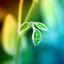 alburking-blog
