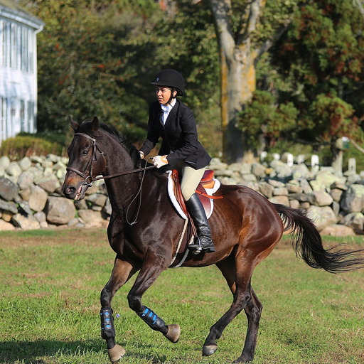 Horsemanship, Not Forcemanship.