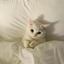 cutecarrotelovesketchup-blog