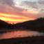 silverforestfae-blog