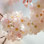 ghakghak123-blog