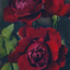 symphytum