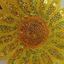 sequinedsunflowers