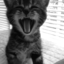 s-mile-blog1