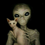 sadcatto666
