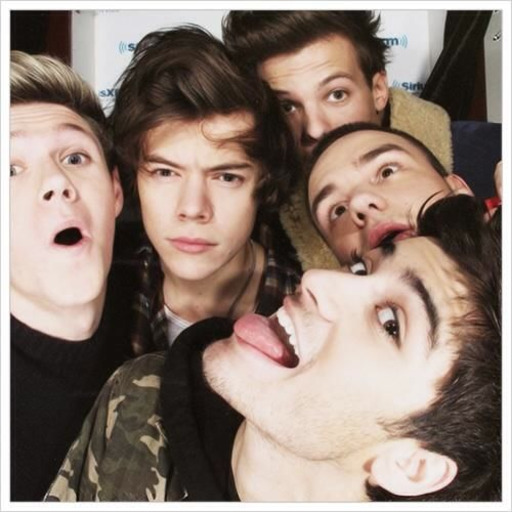 What if in 1D posters they put tiny camera's, so the boys could see what their fans were doing.... 