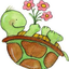 just-a-lil-ambivurtle
