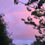 imawlwhoe-blog