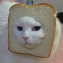 IMAGINA QUE LOUCO ALGUÉM LENDO ATÉ A SEGUNDA PÁGINA DO MEU TUMBLR.