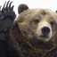 bear-and-boar