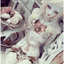 bubbleporcelain