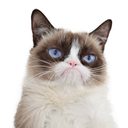 realgrumpycat:    Thanks for nothing. 