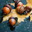the-autumn-diaries13