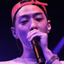 strayikon