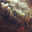 electricinthelight-blog1