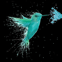 here-flies-a-hummingbird avatar