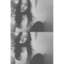 fuuck-your-feelings