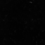 callithump-moved-blog