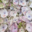 hellaradweddingstuff