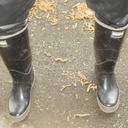 waders1958:  Bild Quelle Internet  Blue and Black 