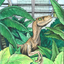 superutahraptor-blog