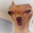 revengefrankie: I DID MY WAITING  4 YEARS OF IT  ON TH E INTERNET   