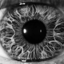osins-world-blog