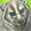 terribadger