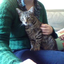catalogingandcardigans