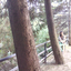 photolifenatur