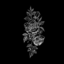 livinlikeacrustycrustacean-blog
