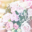 anjolinaslaysseverything-blog