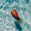 pineapplesdream