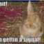 jennyysquire-blog-blog