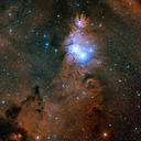 newbornnebulae avatar