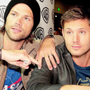 winchesters-love avatar