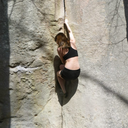 Nickitynatnat:  Ever Wondered How Climbers Reach The Top-Shelf Of The Cabinet? Mystery