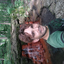 inthewoods2015